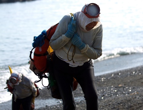 潜るのは本物の現役海女さんです