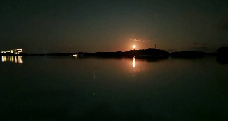 洋上に灯る月明り