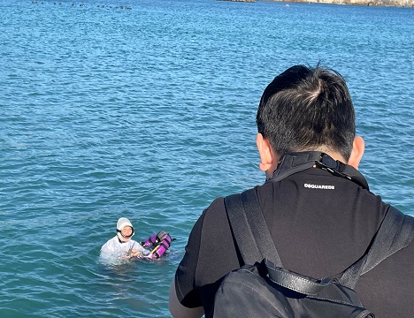 目の前で海女さんが潜る姿を見学できます