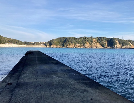 波静かな入江の防波堤から見学するので船酔いの心配は無用です