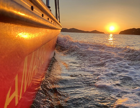 海面と目線が近い小型船なので、自然の醍醐味を体感できます！