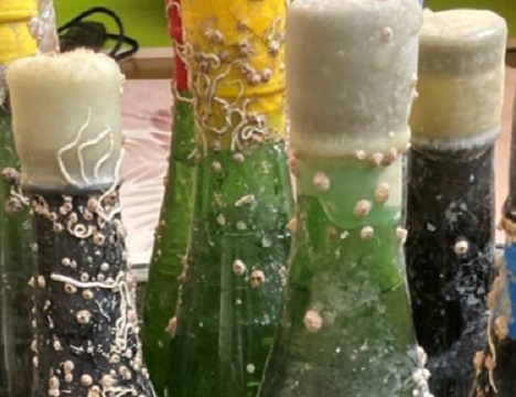 熟成酒（720ml）は、2名様に1本の割合いとなります！ ※3名様の場合は2本をご用意いたします。