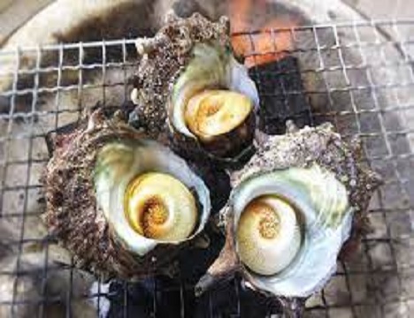 獲れたての獲物をその場でお召上がりいただけます（写真はイメージ）