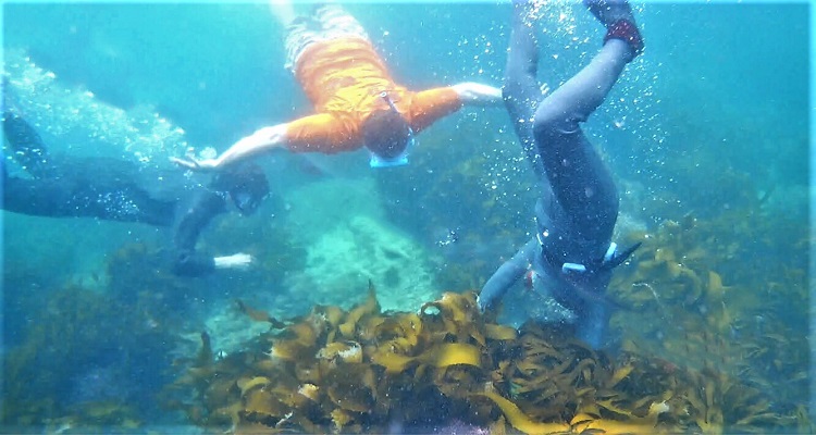 海女漁体験プラン　本物の海女さんと英虞湾を潜ろう！　（賢島発着）