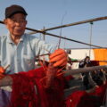 New release! “Witness Lobster Picking”